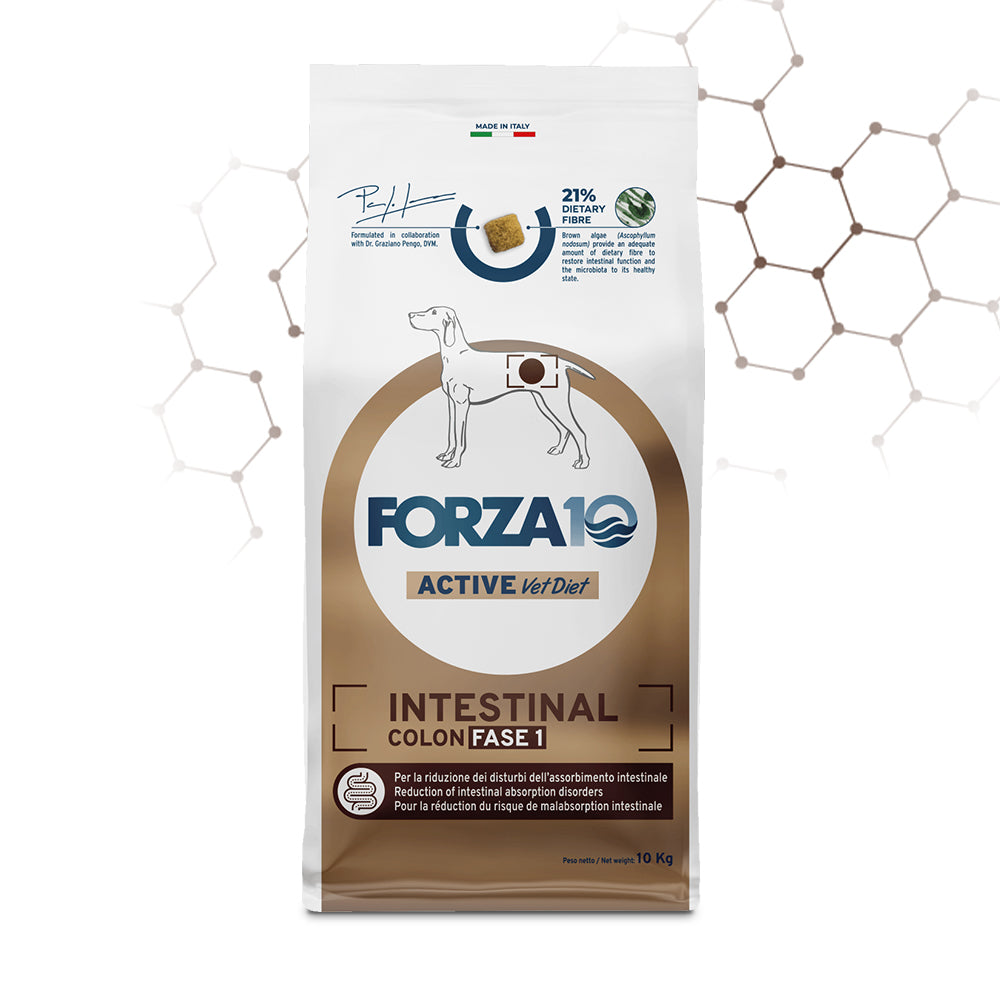 Forza10 Cani - Active Intestinal Colon Fase I - Crocchette