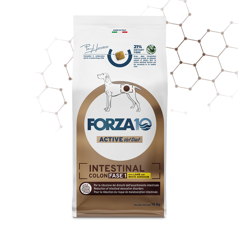Forza10 Cani - Active Intestinal Colon Fase I con agnello e sorgo bianco - Crocchette