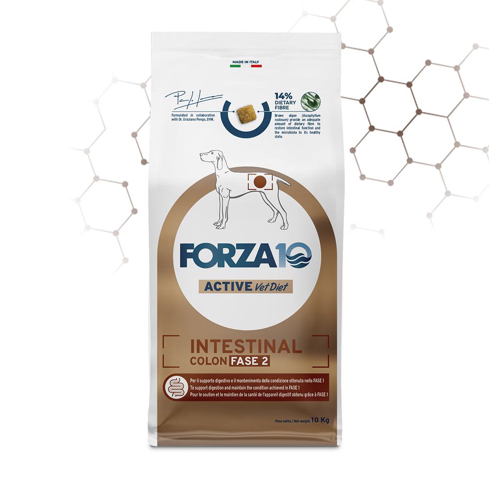 Forza10 Cani - Active Intestinal Colon Fase II - Crocchette