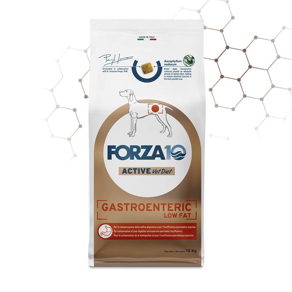 Forza10 Cani - Active GASTROENTERIC Low Fat - Crocchette