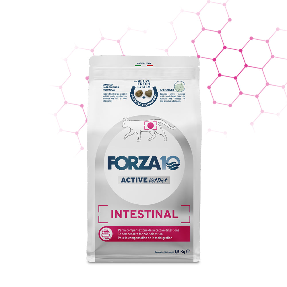 Forza10 Gatti - Active Intestinal Adult - Crocchette