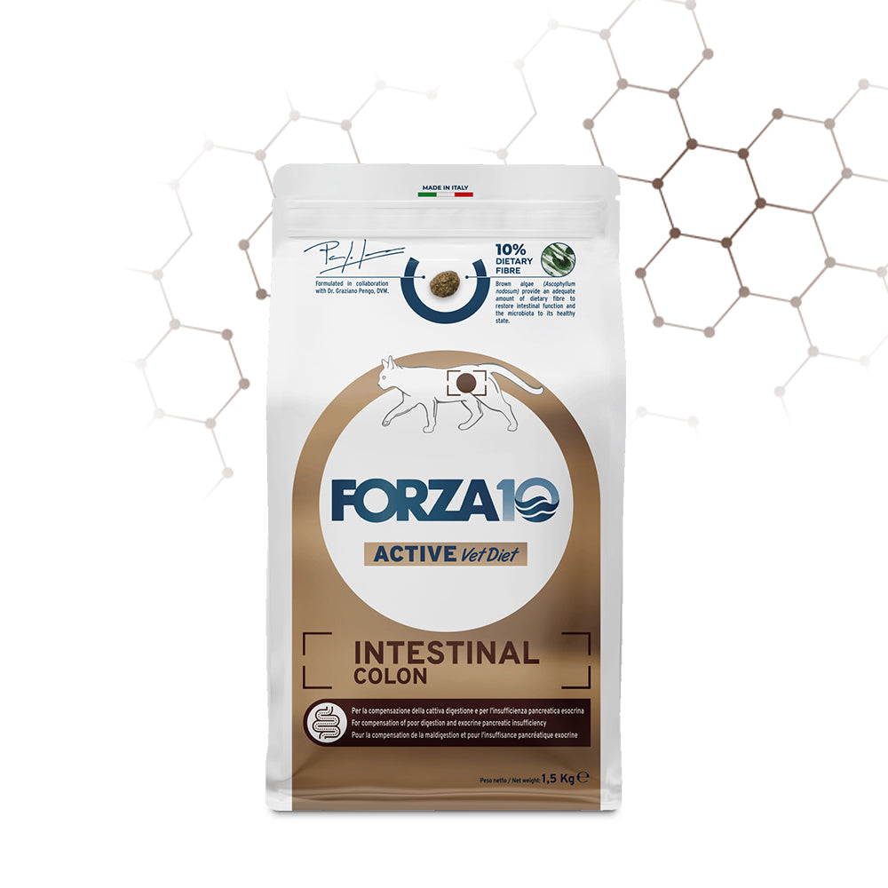 Forza10 Gatti - Active Intestinal Colon Adut