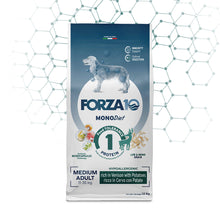 Forza10 Cani - Maintenance Medium Adult, cervo e patate