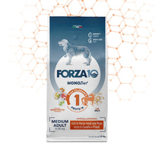 Forza10 Cani - Monodiet Medium Adult cavallo e piselli - Crocchette
