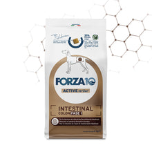 Forza10 Cani - Active Intestinal Colon Fase I - Crocchette