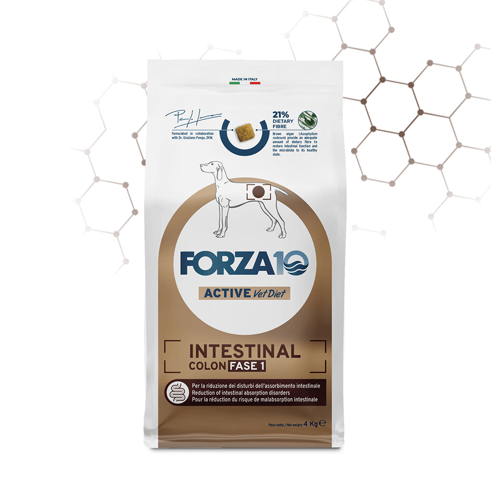 Forza10 Cani - Active Intestinal Colon Fase I - Crocchette