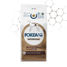 Forza10 Cani - Active Intestinal Colon Fase I - Crocchette