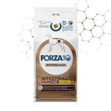 Forza10 Cani - Active Intestinal Colon Fase I con agnello e sorgo bianco - Crocchette