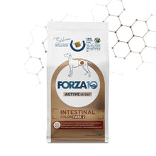 Forza10 Cani - Active Intestinal Colon Fase II - Crocchette