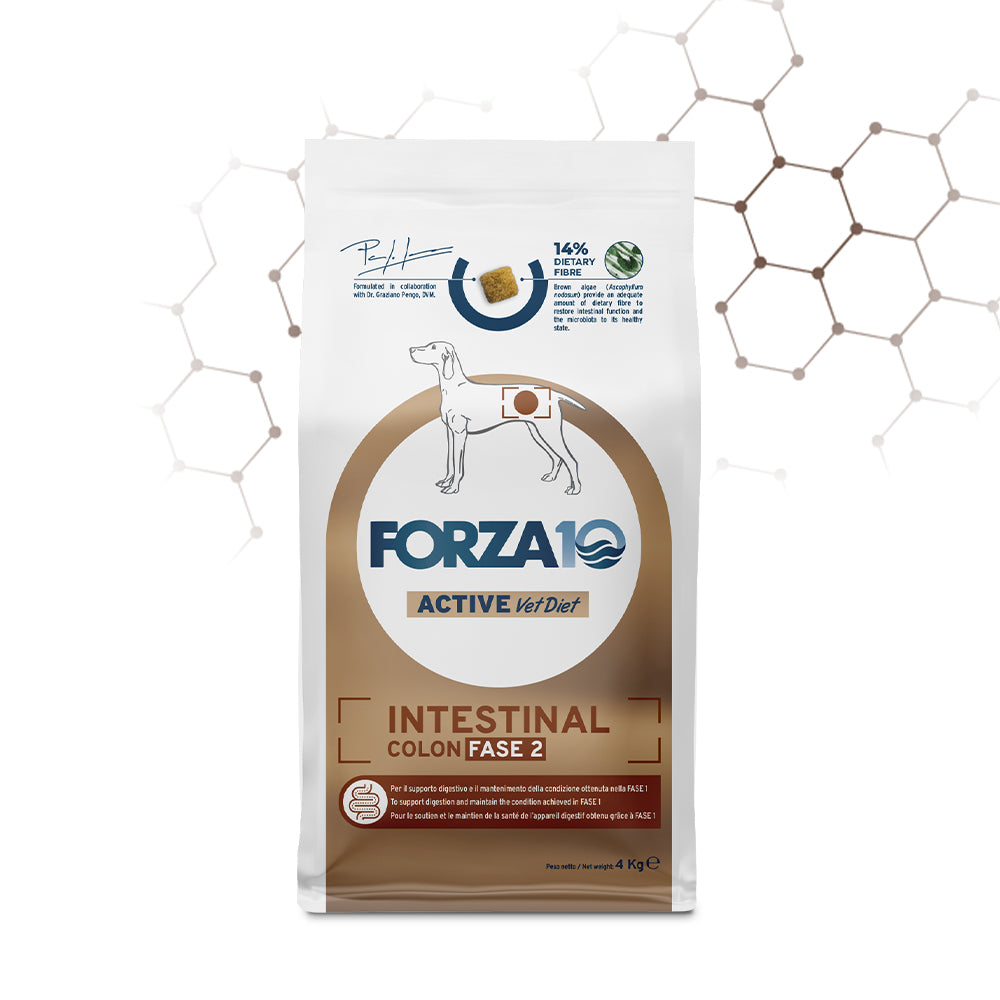 Forza10 Cani - Active Intestinal Colon Fase II - Crocchette
