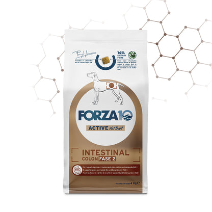 Forza10 Cani - Active Intestinal Colon Fase II - Crocchette