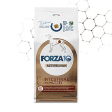 Forza10 Cani - Active Intestinal Colon Fase II - Crocchette