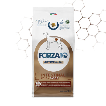 Forza10 Cani - Active Intestinal Colon Fase II - Crocchette