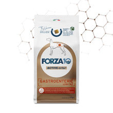 Forza10 Cani - Active GASTROENTERIC Low Fat - Crocchette