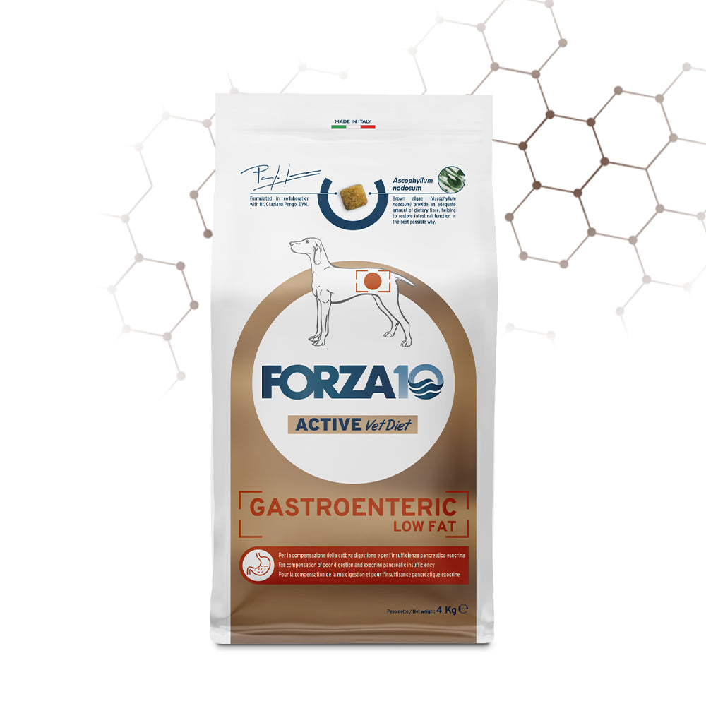 Forza10 Cani - Active GASTROENTERIC Low Fat - Crocchette