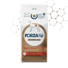 Forza10 Cani - Active GASTROENTERIC Low Fat - Crocchette