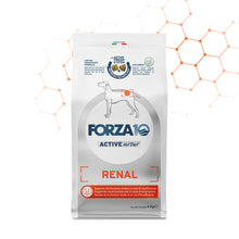 Forza10 Cani - Active Renal - Crocchette
