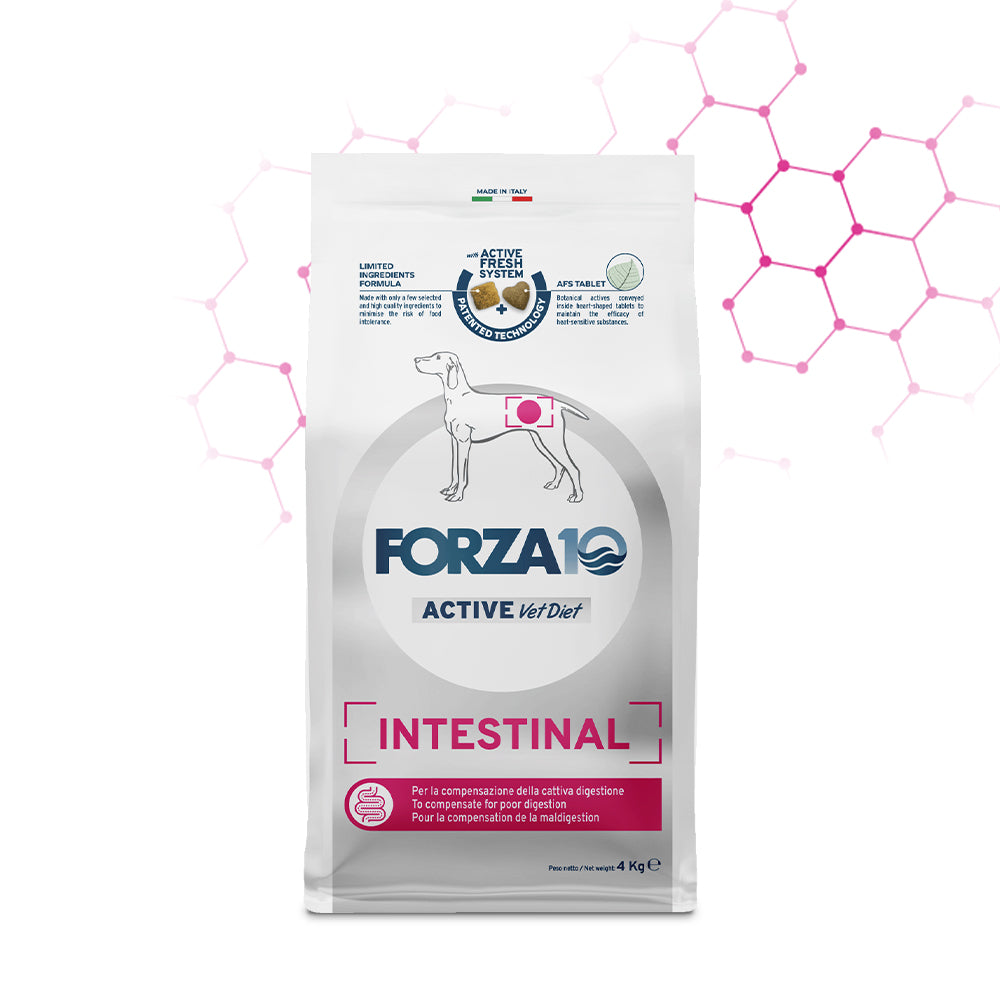 Forza10 Cani - Intestinal Active Vet Diet - Crocchette