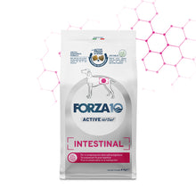 Forza10 Cani - Intestinal Active Vet Diet - Crocchette