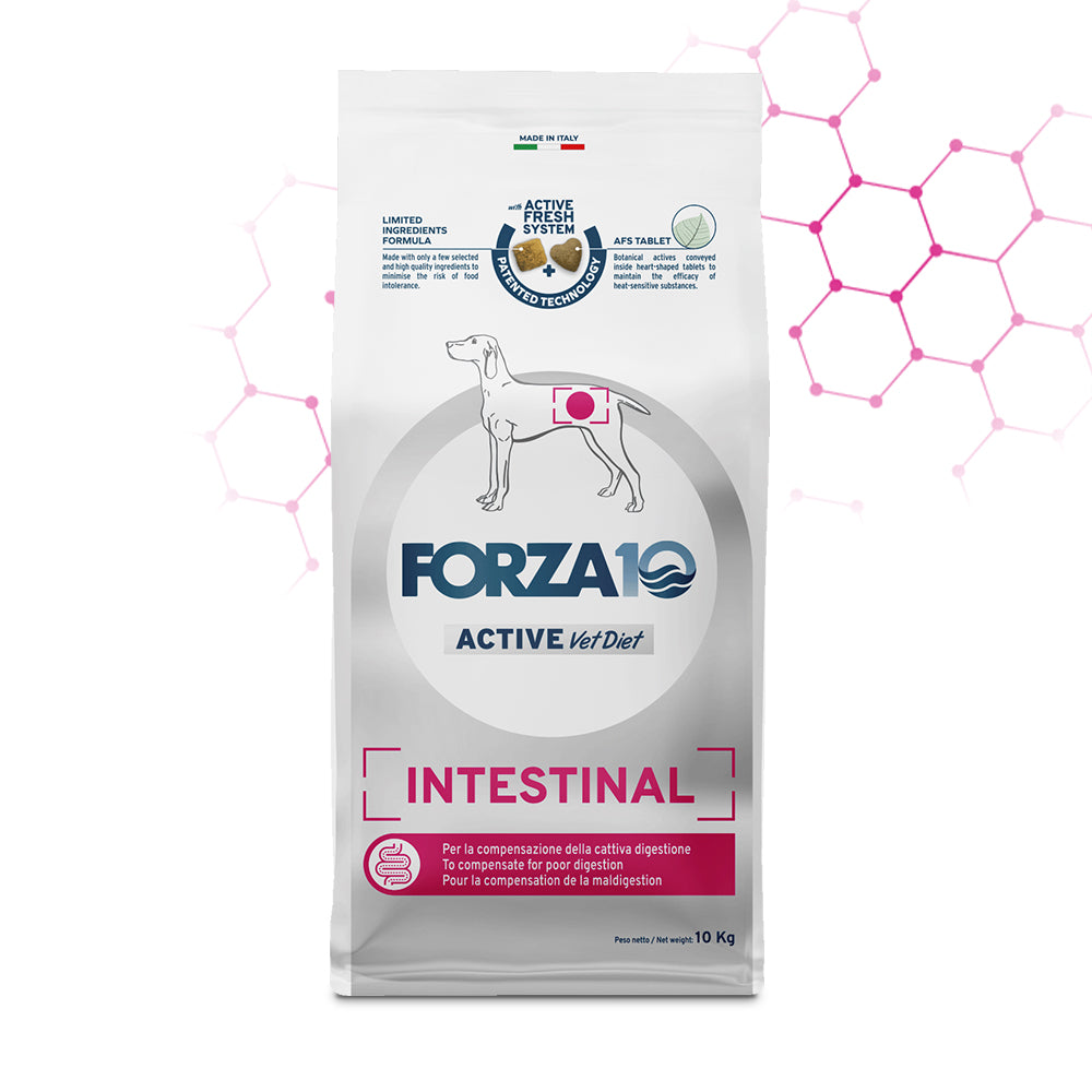 Forza10 Cani - Intestinal Active Vet Diet - Crocchette