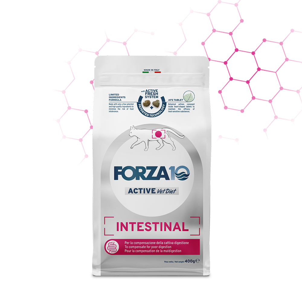 Forza10 Gatti - Active Intestinal Adult - Crocchette