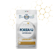 Forza10 Gatti - Active Urinary Adult - Crocchette