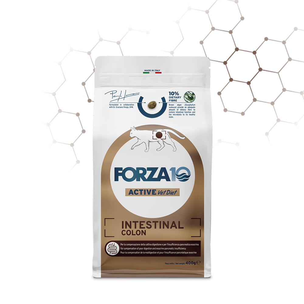 Forza10 Gatti - Active Intestinal Colon Adut