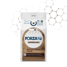 Forza10 Gatti - Active Intestinal Colon Adut