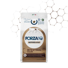 Forza10 Gatti - Active Intestinal Colon Adut