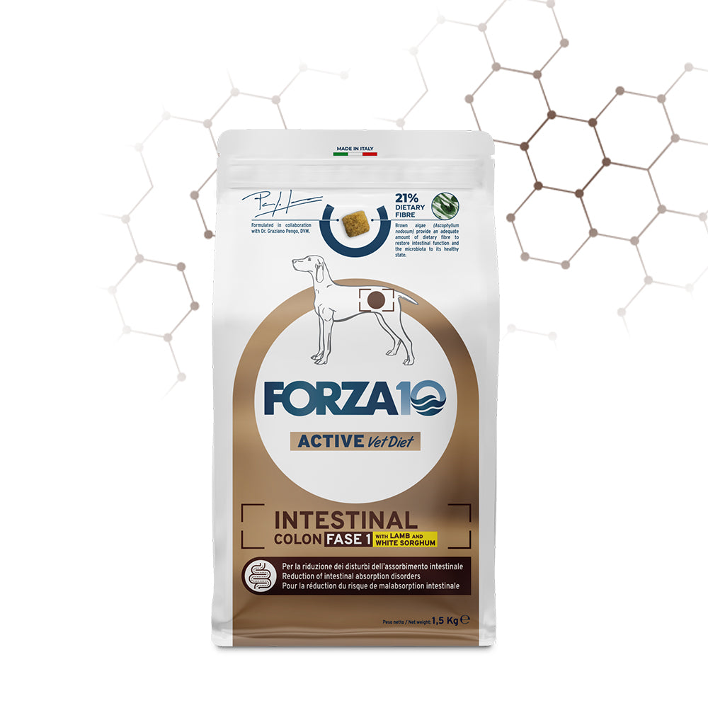 Forza10 Cani - Active Intestinal Colon Fase I con agnello e sorgo bianco - Crocchette