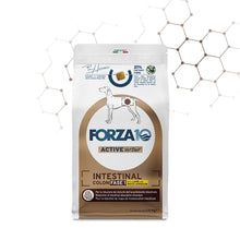 Forza10 Cani - Active Intestinal Colon Fase I con agnello e sorgo bianco - Crocchette