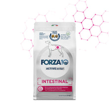 Forza10 Cani - Intestinal Active Vet Diet - Crocchette