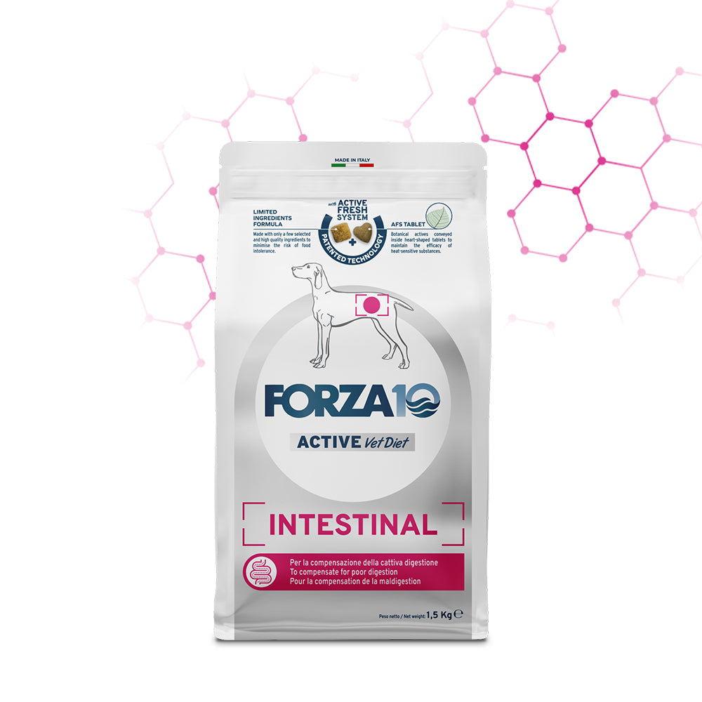Forza10 Cani - Intestinal Active Vet Diet - Crocchette
