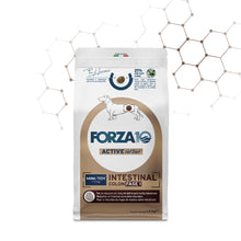 Forza10 Cani - Active Intestinal Colon Fase I Mini/Toy - Crocchette