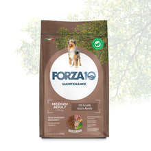 Forza10 Cani - Maintenance Medium Adult, agnello - Crocchette