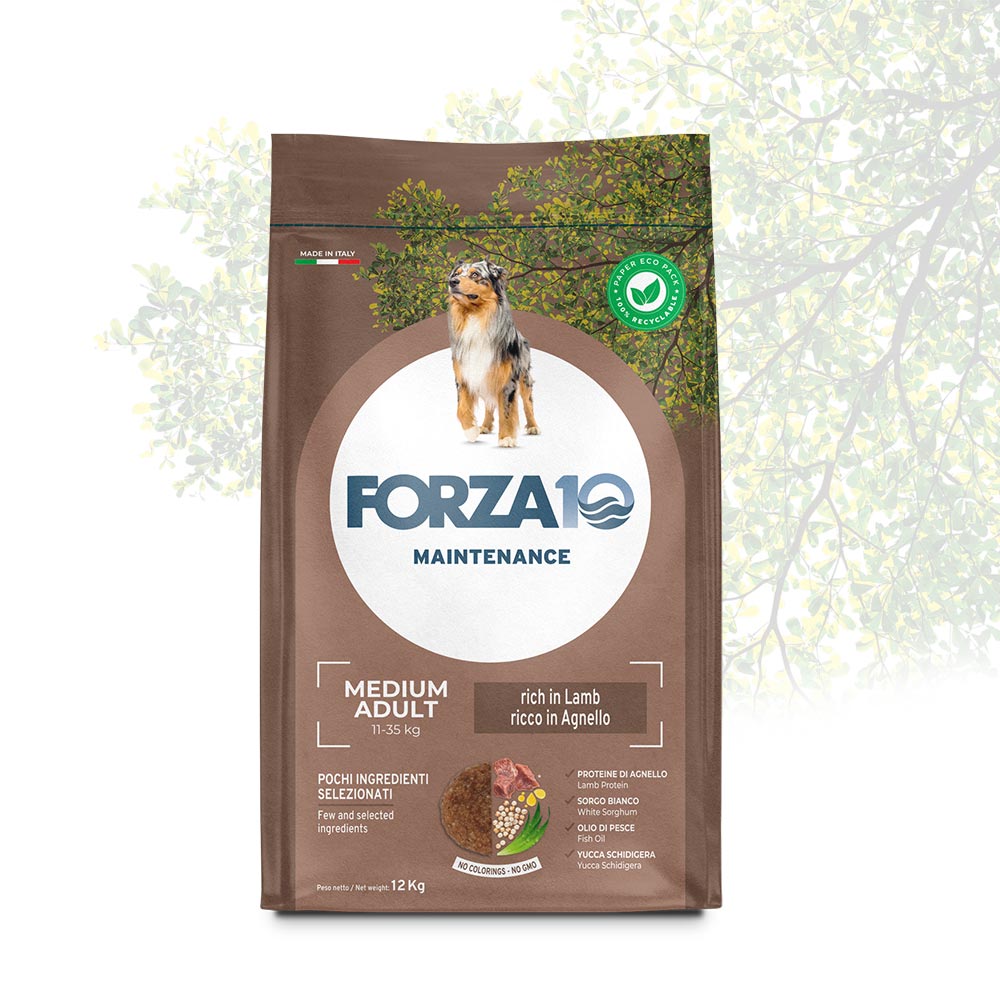 Forza10 Cani - Maintenance Medium Adult, agnello - Crocchette