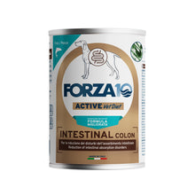 Forza10 Cani - Active Intestinal Colon, pesce - Umido