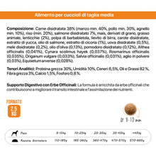 Althea Puppy & Junior - Crocche per cuccioli di taglia Media