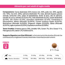 Althea Senior - Crocche per cani anziani di taglia Media